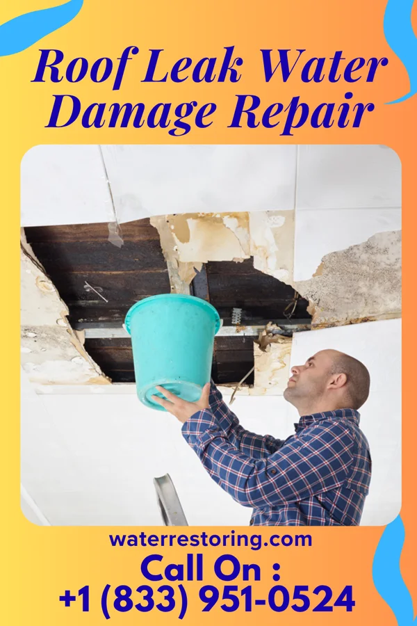 Roof Leak Water Damage Repair in Afton, IA