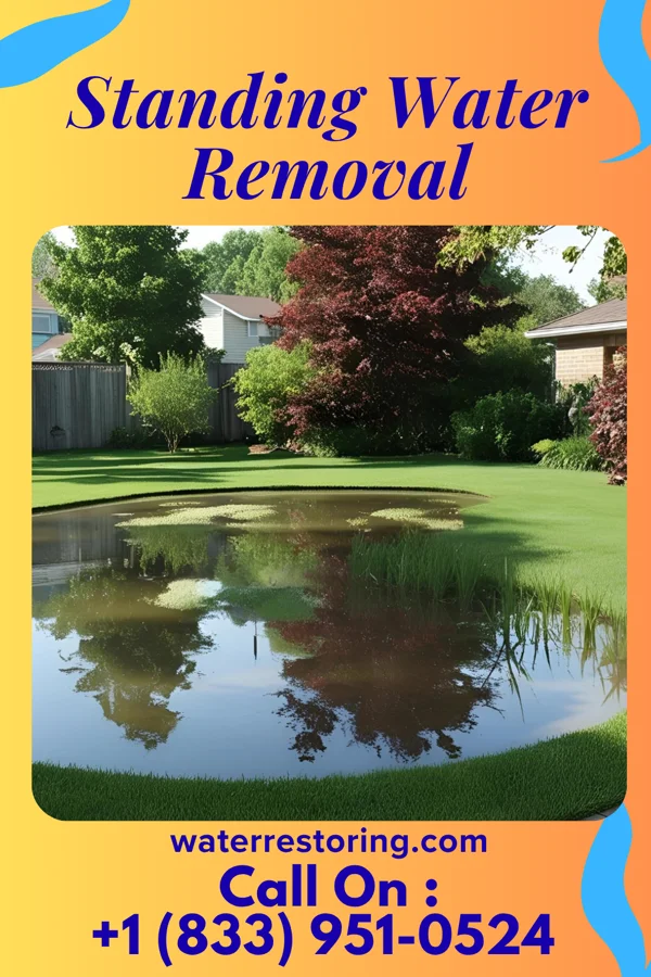 Standing Water Removal in Afton, IA